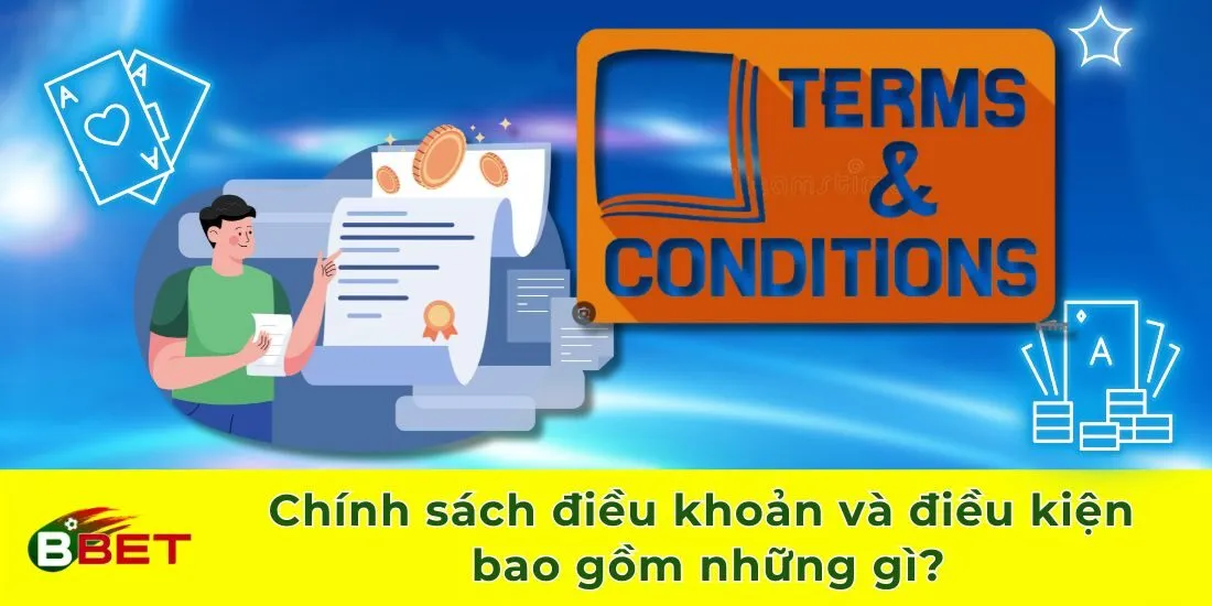 Chính sách điều khoản và điều kiện bao gồm những gì?